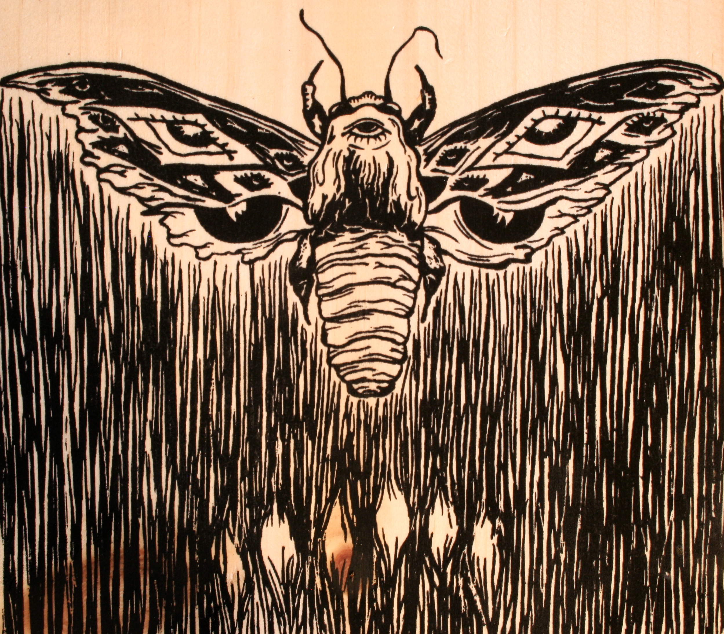 moth man wood print  muscle city